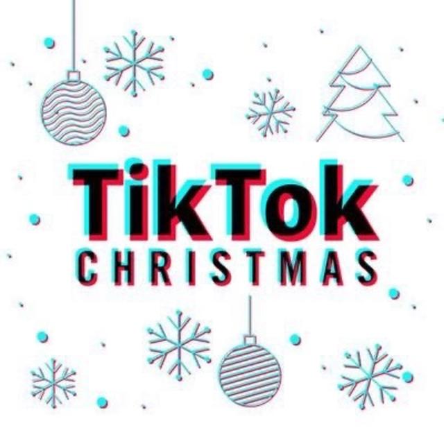 TikTok Christmas Rhino