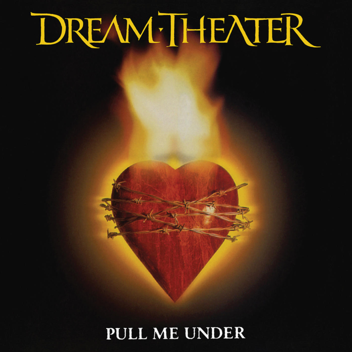 Dream Theater - Pull Me Under (12