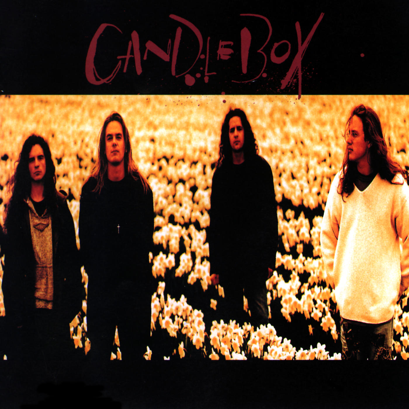 Candlebox Rhino