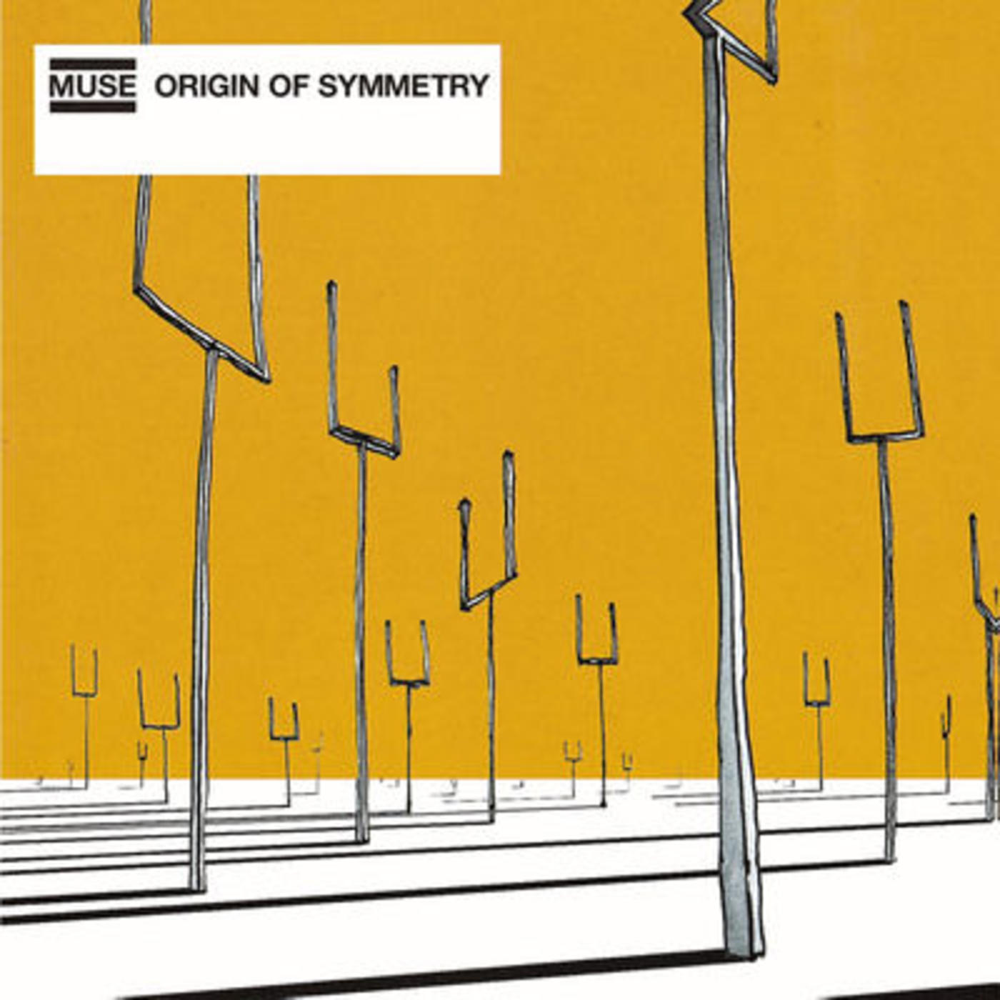 origin-of-symmetry-rhino