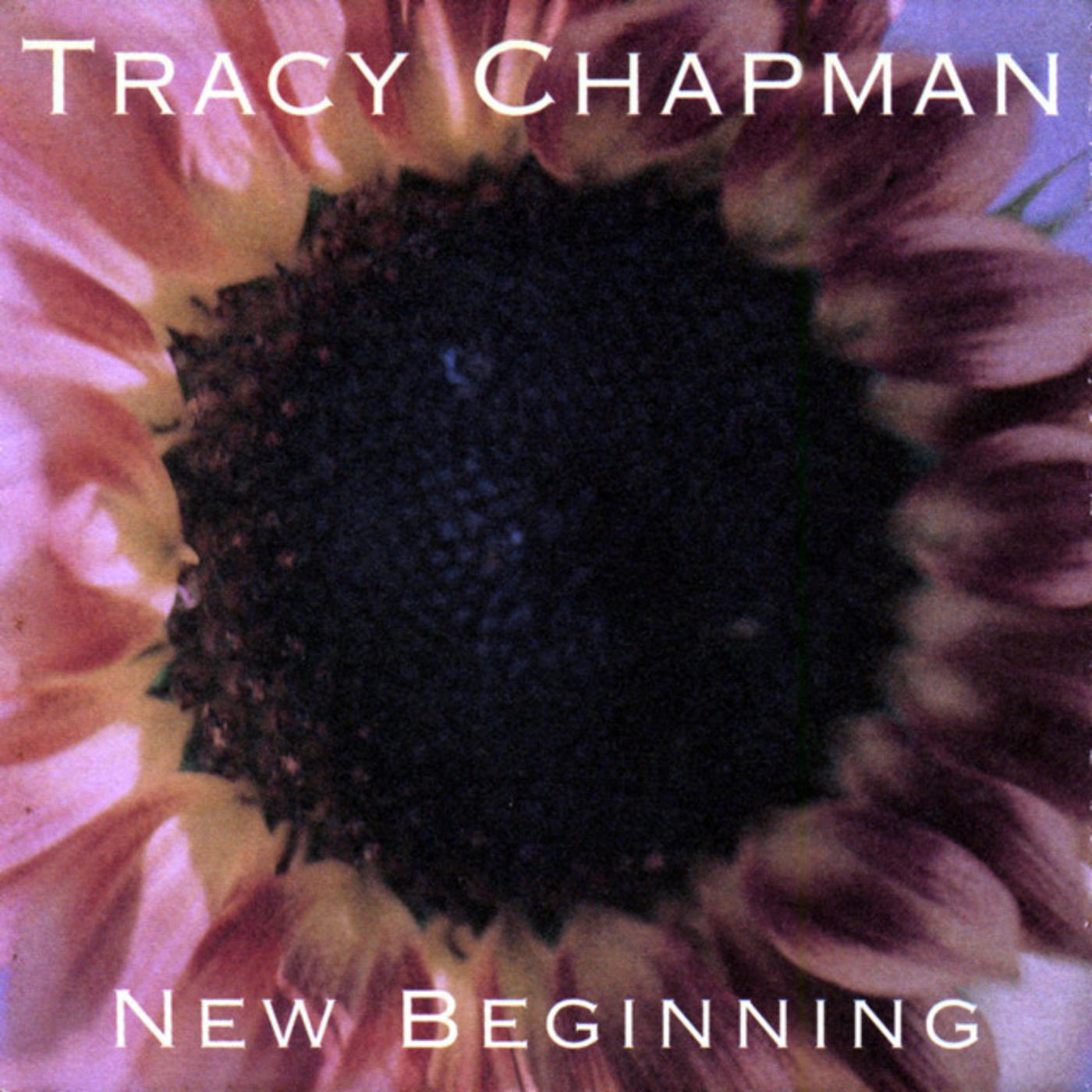 Single Stories Tracy Chapman Give Me One Reason Rhino   Album 3XsOzkIBoHsxZ7jP3QF2oB.